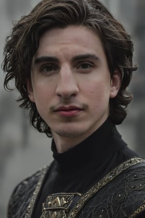 Hyperrealistic photo, Pale Skin, Portrait of a hybridization between Timothée Chalamet face and Adam Driver face , detailed symmetrical face , 4k textures, symmetrical eyes,RAW photo, 4k, masterpiece, high-res, extremely intricate, high detailed skin,1.2 prfm style, symmetrical face, closed lips, almond-shaped black eyes, crystal obsidian grim armour, perfect composition, beautiful detailed intricate insanely detailed, 8k artistic photography, photorealistic concept art, soft natural volumetric cinematic perfect light. hunter eyes, natural light, intense, perfect face, RAW, analogue, Nikon Z 85 mm.
,detailmaster2,Movie Still,male