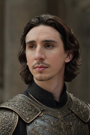 Hyperrealistic photo, Pale Skin, Portrait of a hybridization between Timothée Chalamet face and Adam Driver face , detailed symmetrical face , 4k textures, symmetrical eyes,RAW photo, 4k, masterpiece, high-res, extremely intricate, high detailed skin,1.2 prfm style, symmetrical face, closed lips, almond-shaped black eyes, crystal obsidian grim armour, perfect composition, beautiful detailed intricate insanely detailed, 8k artistic photography, photorealistic concept art, soft natural volumetric cinematic perfect light. hunter eyes, natural light, intense, perfect face, RAW, analogue, Nikon Z 85 mm.
,detailmaster2,Movie Still,male