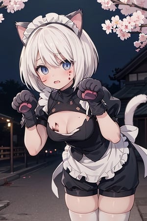 1girl,  masterpiece,  best quality,  cute,  animal ears,  shorts,  paw pose,  (cat paw gloves:1.4),  facing viewer,  looking at viewer,  sakura city,nighttime,animepull,yorha no. 2 type b walking in a sakura forest, dressed as a maid neko with torn up clothes,detailed face,blood_on_face