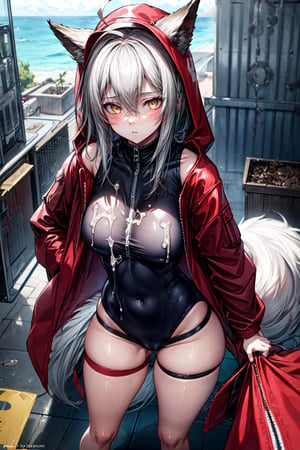 masterpiece, best quality , vivid colours,long hair,fullbody,High detailed,detailed face and eyes, long hair,camel_toe,panties showing,standing,front pov,sfw,vulva,ahoge,1girl,dynamicpose,clothes floating with the wind,powerful colours,projekt red from arknights chilling in a roof top,1girl,gray hair,navel,hot body,projekt red light breeze, yellow eyes, leaning forward, jacket, wolf tail, hood, open jacket, hooded jacket, red jacket, black one-piece swimsuit, thigh strap, unzipped, highleg swimsuit, ears through headwear,cum in her navel,