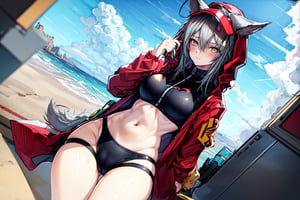 masterpiece, best quality , vivid colours,long hair,fullbody,High detailed,detailed face and eyes, long hair,camel_toe,panties showing,standing,front pov,sfw,vulva,ahoge,1girl,dynamicpose,clothes floating with the wind,powerful colours,projekt red from arknights chilling in a roof top,1girl,gray hair,navel,hot body,projekt red light breeze, yellow eyes, leaning forward, jacket, wolf tail, hood, open jacket, hooded jacket, red jacket, black one-piece swimsuit, thigh strap, unzipped, highleg swimsuit, ears through headwear,cu m in her navel and thighs