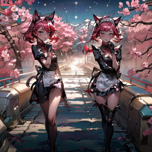 masterpiece,  best quality,  cute,  animal ears,  shorts,  paw pose,  facing viewer,  looking at viewer,walking in a sakura forest, destiny /(takt op./) dressed as a hot maid neko with torn up clothes,detailed face,cute expression,ahegao_face,barely clothed with,perfectbody,detailed,realistic eyes,,skirt flowing in the wind,destiny /(takt op./) is in a starry mountain with magical stars in the skies,realistic,using cat pawns gloves,high res,