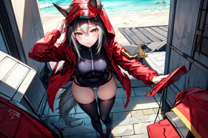 masterpiece, best quality , vivid colours,long hair,fullbody,High detailed,detailed face and eyes, long hair,camel_toe,panties showing,standing,front pov,sfw,vulva,ahoge,1girl,dynamicpose,clothes floating with the wind,powerful colours,projekt red from arknights chilling in a roof top,1girl,gray hair,navel,hot body,projekt red light breeze, yellow eyes, leaning forward, jacket, wolf tail, hood, open jacket, hooded jacket, red jacket, black one-piece swimsuit, thigh strap, unzipped, highleg swimsuit, ears through headwear,