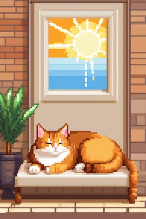 Pixel art
8 bits
Home
sleeping cat
Beatiful
receiving sun rays
