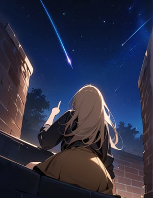 (masterpiece, top quality), high definition, artistic composition, two girls, fantasy, brick structure, two girls sitting, from behind, from below, night, starry sky, wide night sky, shooting star, looking up to heaven, pointing to sky, fun, bold composition, dramatic