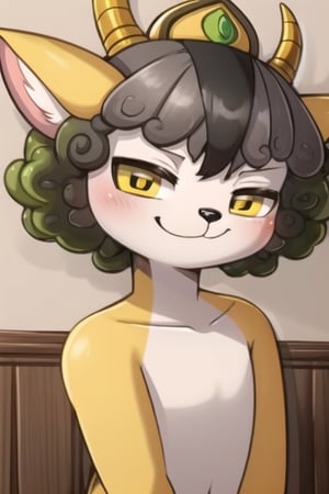 Yingying, 1boy, antelope, furry, yellow eyes, humanoid, slanted eyes, asian features, black animal nose, gray curly head hair, curly hair, yellow tiara, green headphones, yellow antelope antlers, horns, yellow antelope ears, white torso, (yellow limbs, black stripe in center of hair), kemono, perfect anatomy, solo, (insanely detailed, beautiful detailed face, masterpiece, best quality), score_9, score_8_up, score_7_up, smug expression