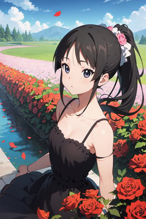 1girl, ponytail , (dress:1.3), small breasts, collarbone, flowers and petals, (illustration:1.1), (perfect details:1.1), landscape, background, rose, abstract,mio akiyama