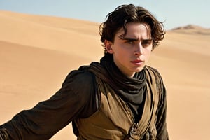 Paul Atreides (Timothée Chalamet) Dune series