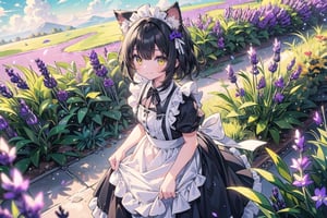 (masterpiece), outdoors, (((1girl, black hair:1.3)), medium hair yellow eyes, maid apron, maid headdress, cat ears, smile, flowers (Lavander:1.3)).