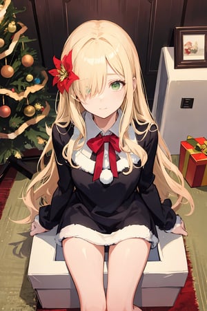 cute girl,blonde hair:1.3,long hair, wavy hair,hair over one eye:1.5 ,green eyes,masterpiece, best quality, highly detailed, hair flower,hair_over_eye ,
a girl sitting in box:1.3,,present box,from above,gift girl,
christmas,christmas tree,indoor,carpet,

