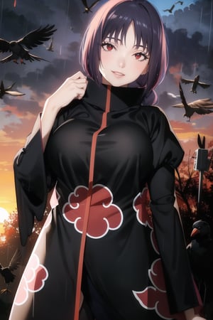 anime, hdr, soft light, ((best quality)), ((masterpiece)), (detailed),  sumire kakei, single braid, purple hair, ((red eyes:1.2)), makeup, head tilt, smile, (lips), (akatsuki outfit:1.1), (puffy_sleeves:1.2), ((juliet_sleeves)),large breast, high neck, high_collar, black dress, long sleeves, looking at viewer, village, (((crows))),sunset, rain, water drop, cloud, nature, ,akatsuki outfit, bird, crow, eagle, black feathers, sunset, orange sky, outdoors, fantasy00d,