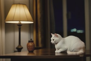 A cat sitting on a table near a lamp at night