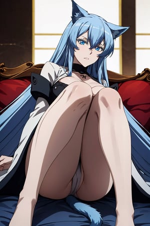  extremely long hair, blue hair, blue eyes, (esdeath:1.0), 1girl, solo,  tail,  miqo'te, cat ears, cat girl, slit pupils, whisker markings, looking at viewer,esdeath, feet