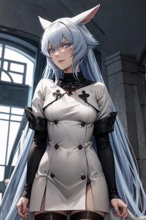  extremely long hair, blue hair, blue eyes, (Esdeath:1.2), 1girl, solo,  tail,  miqo'te, cat ears, cat girl, slit pupils, whisker markings, looking at viewer, yshtola_rhul, smug