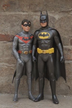 Batman and Robin,more detail XL