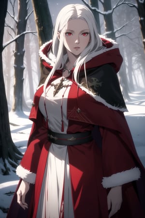 (Masterpiece, Best Quality), (A Gorgeous 30-Year-Old Female Blood Witch), (Unkempt White Hair), (Spirit-Seeing Red Eyes:1.2), (Aged and Blood-Marked Skin), (Red and White Hooded Witch Robe with Fur Cloak:1.2), (Mystical Snowy Forest at Night:1.4), (Standing Pose:1.4), Centered, (Half Body Shot:1.4), (From Front Shot:1.2), Insane Details, Intricate Face Detail, Intricate Hand Details, Cinematic Shot and Lighting, Realistic and Vibrant Colors, Sharp Focus, Ultra Detailed, Realistic Images, Depth of Field, Incredibly Realistic Environment and Scene, Master Composition and Cinematography, castlevania style,castlevania style