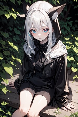 A girl with colorful eyes, heterochromatic, pale skin, long white hair with bangs, wearing a hood on her head, black leather coat, sitting on the forest floor, dim lighting linear.,1 girl,little_cute_girl,sugar_rune