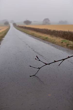 In a rural setting, winter rain drizzles down, transforming the landscape into a picturesque scene. The gentle raindrops create a soothing rhythm as they fall on the fields and meadows. Leafless trees stand as silhouettes against the gray sky, their branches adorned with delicate droplets. The wet earth exudes a rich scent, and the countryside is enveloped in a quiet, contemplative atmosphere. This winter rain paints a serene portrait of rural life, capturing the beauty of simplicity and the cycle of nature.

Positive Prompt: Rural landscape, winter rain, picturesque scene, gentle raindrops, soothing rhythm, leafless trees, silhouettes, delicate droplets, wet earth, contemplative atmosphere, beauty of simplicity, cycle of nature.