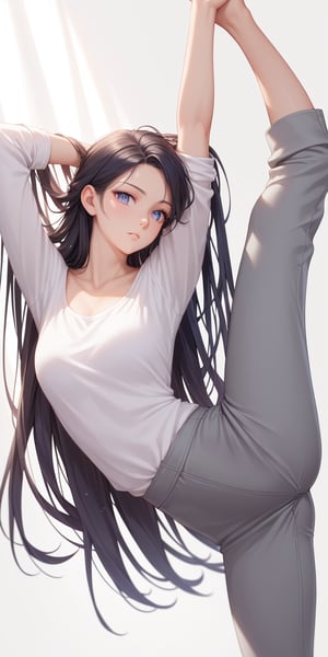 score_9, score_8_up, score_7_up, score_6_up, score_5_up, score_4_up,source_anime,

1 woman, performing a handstand, solo, (30yo), flexible, strong, beautiful detailed eyes, long black hair flowing down her back, white shirt, grey pants, white surface, elegant, balance, determination, detailed background, depth of field, realistic, soft lighting, best quality,masterpiece