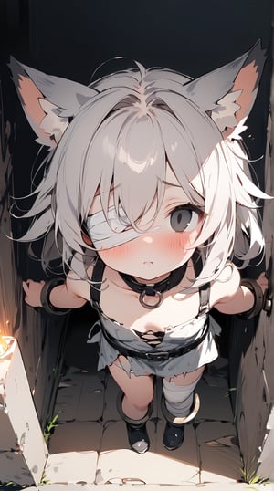 //quality, (masterpiece:1.3), (detailed), ((,best quality,)),//,1girl,solo,(loli:1.3),(cat_girl:1.4),slave,//,gray hair,messy_hair,long_hair,gray eye,(empty_eye:1.4),bandage over one eye,
,//,slave_restraints outfit,gray slave dress,(torn_clothes:1.2),bandages,bandaged_arms,bandaged_leg,//,blush,looking_above, looking_at_viewer,//,dungeon,stone wall,torch on the wall,(dark background:1.3), indoor , Europe Medieval, straight-on,from_above,