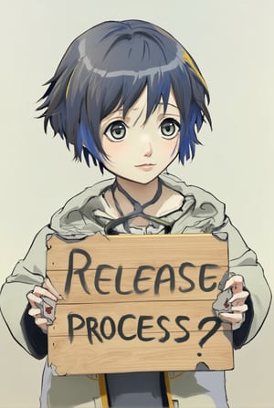 Anime of a cute girl holding a big post sign with text: "Software Release Process?". looking sad,simple background,ek_ph0t0_b00ster,ek_an1_b00ster,ek_art_b00ster,ek_game_3ffect,ek_real_b00ster