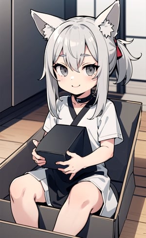 anime chibi boy, animal ears and one tail, white hair,chibi, happy, long pony_tail, (gray eyes:1.7), sitting in a box, looking_at_viewer