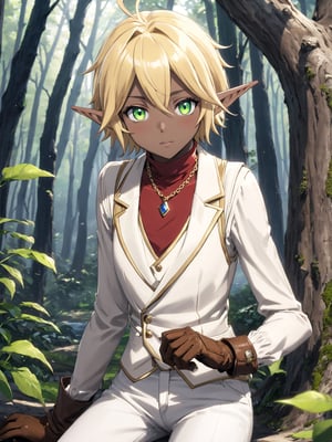 //Quality,
masterpiece, best quality, detailed
,//Character,
solo,Aura Bella Fiora \(overlord\), 1girl, short hair, blonde hair, hair between eyes, blue eyes, green eyes, heterochromia, pointy ears, dark skin, elf, ahoge
,//Fashion,
red shirt, long sleeves, brown gloves, necklace, white vest, white pants, brown footwear
,//Background,
forest
,//Others,