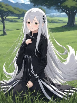 //Quality,
masterpiece, best quality, detailed
,//Character,
solo,echidna_rezero, 1girl, very long hair, white hair, black eyes, colored eyelashes
,//Fashion,
long sleeves, striped, black dress, long dress, hair ornament, black capelet
,//Background,
grassland, tea time
,//Others,
smile