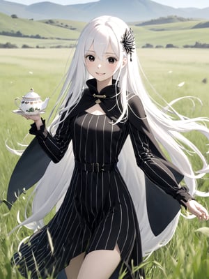 //Quality,
masterpiece, best quality, detailed
,//Character,
solo,echidna_rezero, 1girl, very long hair, white hair, black eyes, colored eyelashes
,//Fashion,
long sleeves, striped, black dress, long dress, hair_ornament, black capelet
,//Background,
grassland, tea time
,//Others,
smile