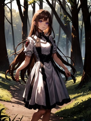 A young girl with long brown hair and bright eyes, standing at the edge of a magical forest. She's wearing a simple dress and holding a small backpack. Sunlight filters through the trees, creating a mystical atmosphere. The girl looks excited and slightly nervous.
best quality, 8k, 8k UHD, ultra-high resolution, ultra-high definition, highres
,//Character, 
1girl, solo
,//Fashion, 
,//Background, 
,//Others, ,Expressiveh,
elhaym_van_houten, long hair, brown hair, purple eyes, dress