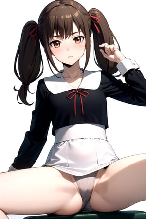 //Quality,
masterpiece, best quality
,//Character,
1girl, solo
,//Fashion, 
,//Background,
white_background
,//Others,
,spread legs, 
,brown hair, light blush, brown eyes, long hair, twintails,school uniform, black dress, red ribbon