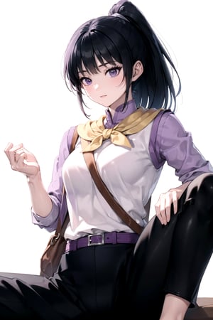 //Quality,
masterpiece, best quality
,//Character,
1girl, solo
,//Fashion, 
,//Background,
white_background
,//Others,
,spread legs, 
,FighterGS, 1girl, solo, long hair, black hair, purple eyes, ponytail, shirt, black pants