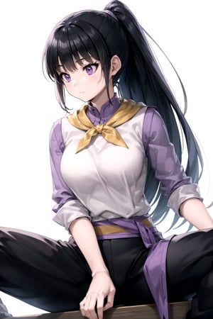 //Quality,
masterpiece, best quality
,//Character,
1girl, solo
,//Fashion, 
,//Background,
white_background
,//Others,
,spread legs, 
,FighterGS, 1girl, solo, long hair, black hair, purple eyes, ponytail, shirt, black pants