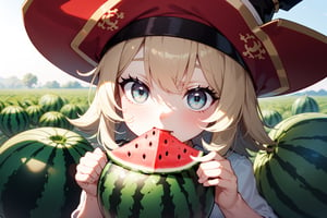 a cream-colored cat wearing a pirate hat with a pink nose and emerald eyes is eating a piece of watermelon in a watermelon field