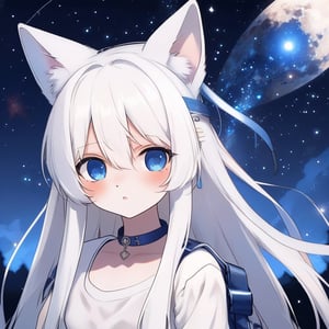 1girl, stoat girl, solo,  ((white hair)), very long hair, blue eyes, (straight hair), (bangs), animal ears, (stoat ears:1.2),
 Choker, ahoge, yaeba, (big stoat Tail:1.2), (blue X hairpin), casual outfit, outdoors, looking at viewer, close view,starry sky, sky, night,,noc-space