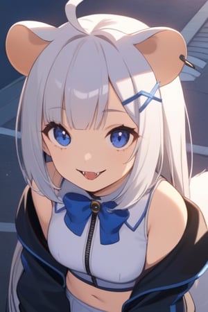 masterpiece, best quality, laplace, 1girl, solo,  ((white hair)), very long hair, blue eyes, (straight hair), (bangs), animal ears, (stoat ears:1.2), Choker, ahoge, fangs, (big stoat Tail:1.2), (blue X hairpin), (White sleeveless collared dress, (midriff), blue chest bow), (black hooded oversized jacket:1.2), (jacket zipper half unzipped), (Off the shoulders), lolita, smile, leaning forward, city street, close-up , from above, look up, anime,light,detail,atmosphere,portraitart,Visual_Illustration