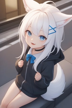 masterpiece, best quality, laplace, 1girl, solo,  ((white hair)), very long hair, blue eyes, (straight hair), (bangs), animal ears, (stoat ears:1.2), Choker, ahoge, fangs, (big stoat Tail:1.2), (blue X hairpin), (White sleeveless collared dress, (midriff), blue chest bow), (black hooded oversized jacket:1.2), (jacket zipper half unzipped), (Off the shoulders), lolita, smile, leaning forward, city street, close-up , from above, look up, anime,light,detail,atmosphere,portraitart,Visual_Illustration,portrait art style,score_9,score_8_up