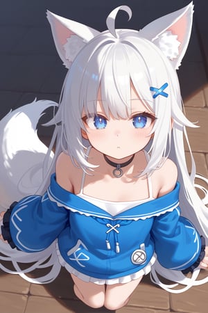 1girl, stoat girl, solo,  ((white hair)), very long hair, blue eyes, (straight hair), (bangs), animal ears, (stoat ears:1.2),
 Choker, ahoge, yaeba, (big white stoat Tail:1.2), (blue X hairpin), high angle shot