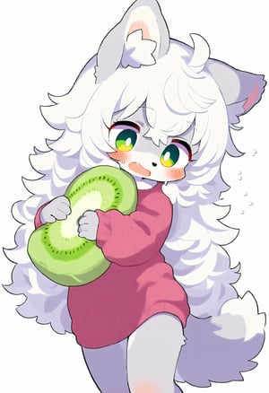 1girl,furry, solo, loli, white hair, long hair, wolf ears, wolf tail, green eyes, open mouth, kiwi, Kiwi Pillow, simple background, white background , Holding 