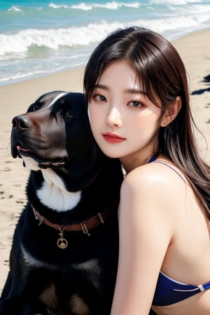 A Korean idol woman in her 20s wearing a bikini smiling while petting a large dog on the beach,Ava