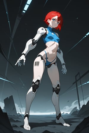 ,score_9, score_8_up, score_7_up, 
masterpiece, best quality, amazing quality, very aesthetic, absurdres,sexy girl,

,cybernetic, cyborg, robot joints, mechanical parts,dark theme, dark_background, standing, fullbody, 

,1girl, solo, short hair, blue eyes, navel, small breasts, red hair, midriff, blue crop top, bare_legs, bare_feet, barcode tattoo, blue highleg_panties, red arm,