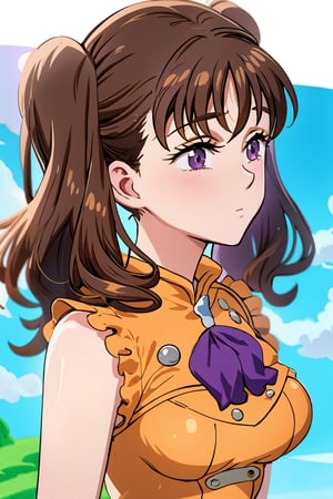 Diane, twintails, brown hair, purple eyes, Clevage. Green hills in her background.
