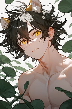 score_9_up, score_9, score_8_up, score_8, score_7, score_7_up, score_6_up, score_5_up, score_4_up, male, illustration, tiger ears, tiger tail, lean, messy hair, black hair, white skin,  slit pupils, yellow eyes,
