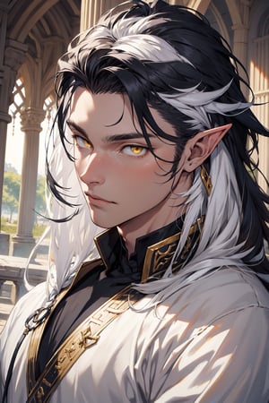 ((best quality)), ((masterpiece)), ((detailed)), long hair, black hair with white streaks, white streakd hair, streaked_hair, pointed_ears, male, king, regal, multicolored_hair, elf_(species), yellow eyes, medieval, fantasy, pale, smooth skin,