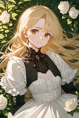 score_9_up, score_9, score_8_up, score_8, score_7, score_7_up, score_6_up, score_5_up, score_4_up, female, illustration, high contrast, low saturation, beautiful, cinematic, victorian, foalcon, dress, long hair, blonde hair, pale skin, brown eyes. bratty, BREAK,source_anime