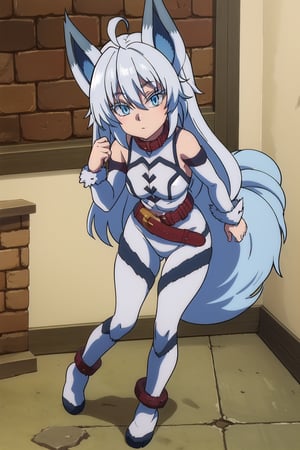 score_9, score_8_up, score_7_up, source_anime,healersetsuna, setsuna, blue eyes, animal ears, blue hair, ahoge, white hair, wolf ears, full body suit, tail, belt, wolf tail, high collar, interior room, stone chamber, looking at viewer, dutch angle, suit latex, blue suit