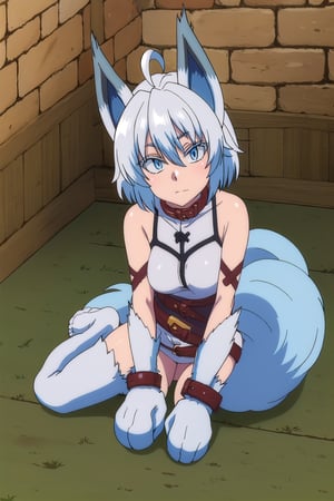 score_9, score_8_up, score_7_up, source_anime,healersetsuna, setsuna, blue eyes, animal ears, wolf feet, blue hair, ahoge, white hair, wolf ears, tail, belt, wolf tail, high collar, interior room, stone chamber, looking at viewer, dutch angle, suit latex, suit color black, full color clothes black,