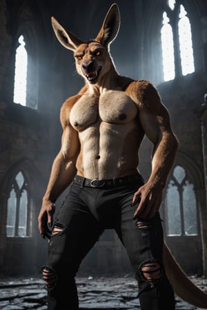 realistic, realism, large male were-kangaroo, fangs, ripped pants, bulge, gothic castle, dark, moody, filtered lights, thick fur, amber eyes, tail, 