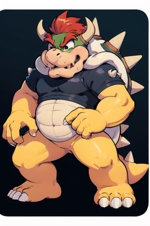 Bowser,Bowser (Mario Series)