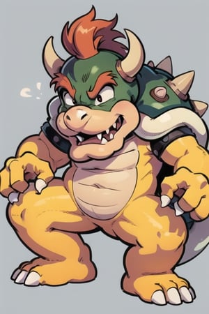 Bowser,Bowser (Mario Series)